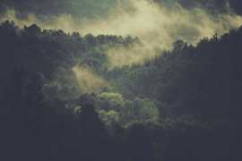 unsplash-2016-34